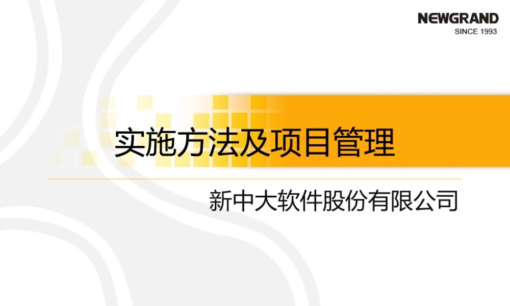 XXXX新中大软件实施方法及项目管理