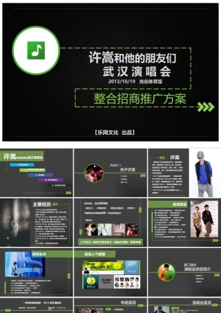 XXXX许嵩武汉演唱会招商方案