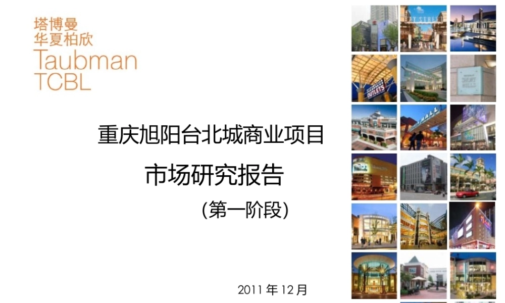 XXXX旭阳台北城大学城商业项目市场研究