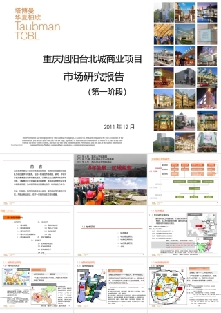 XXXX旭阳台北城大学城商业项目市场研究