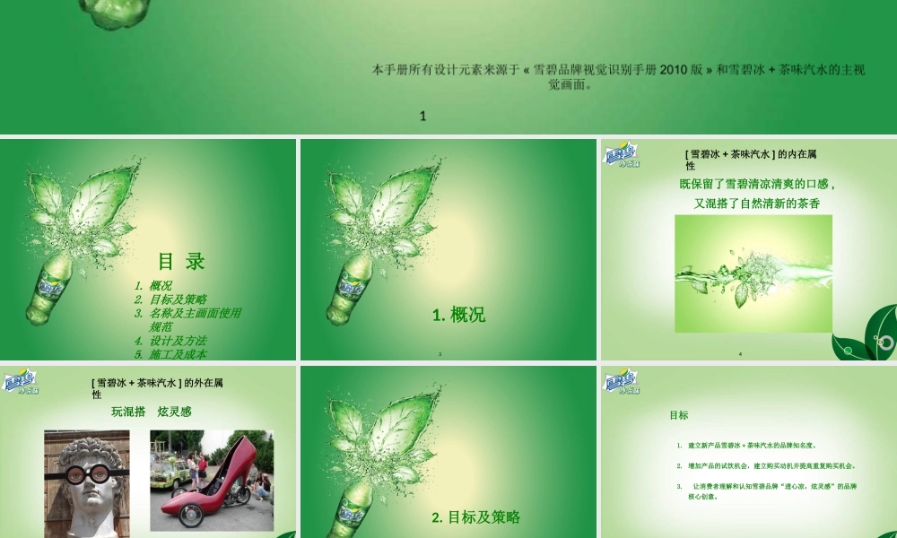 XXXX雪碧冰茶味汽水路演执行手册