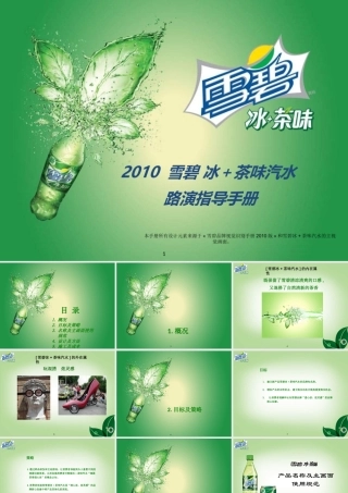 XXXX雪碧冰茶味汽水路演执行手册