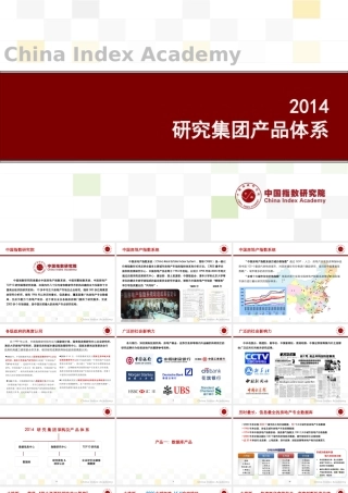 XXXX研究集团产品体系