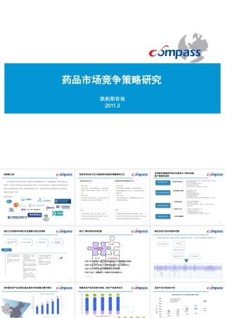 XXXX药品市场竞争策略研究
