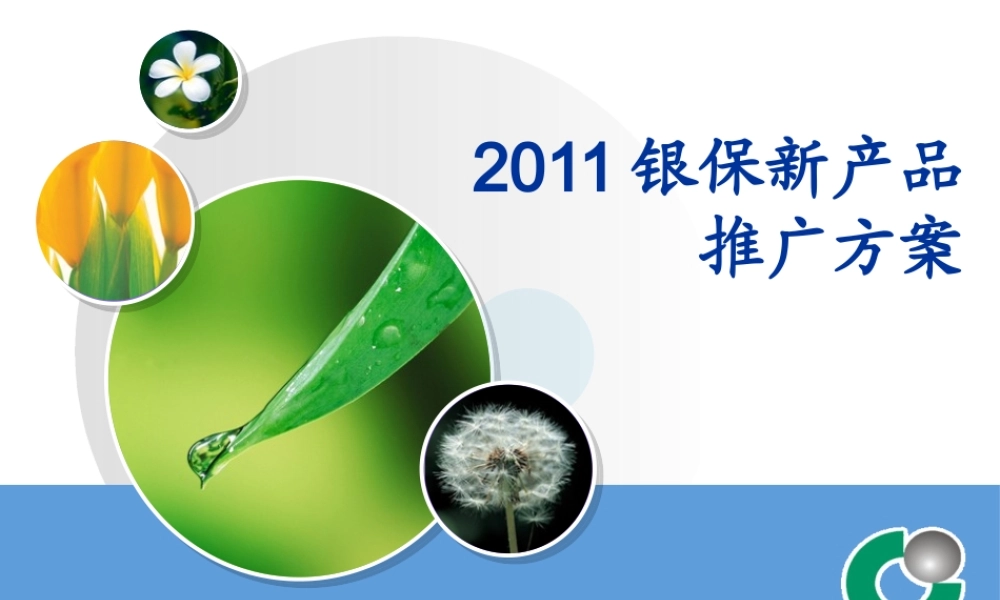 XXXX银保新产品推广方案