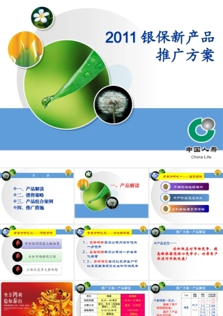 XXXX银保新产品推广方案