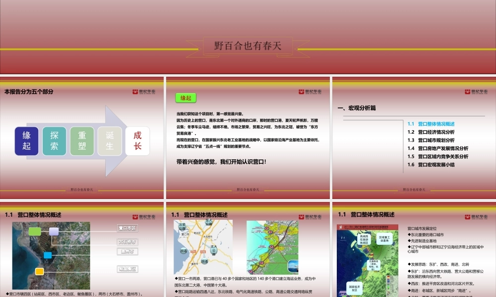 XXXX营口西市区项目全案策划报告202P (NXPowerLite)