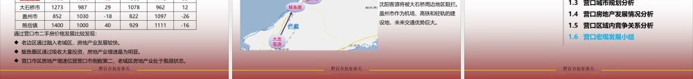 XXXX营口西市区项目全案策划报告202P (NXPowerLite)