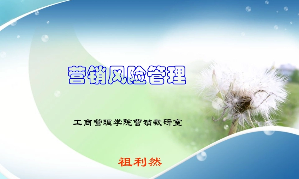 XXXX营销风险导论