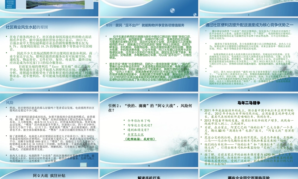 XXXX营销风险导论