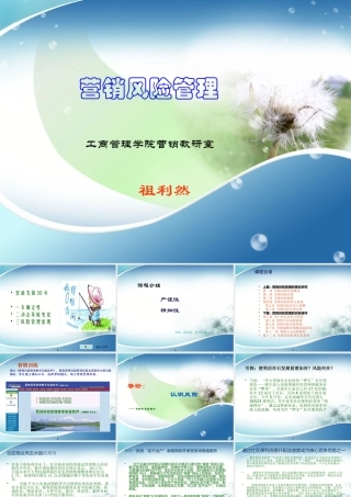 XXXX营销风险导论