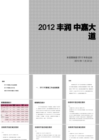 XXXX营销工作总结。。