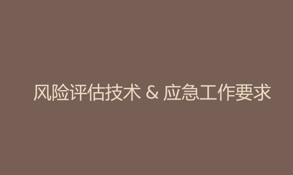 XXXX应急工作安排&amp;amp;风险评估技术方案