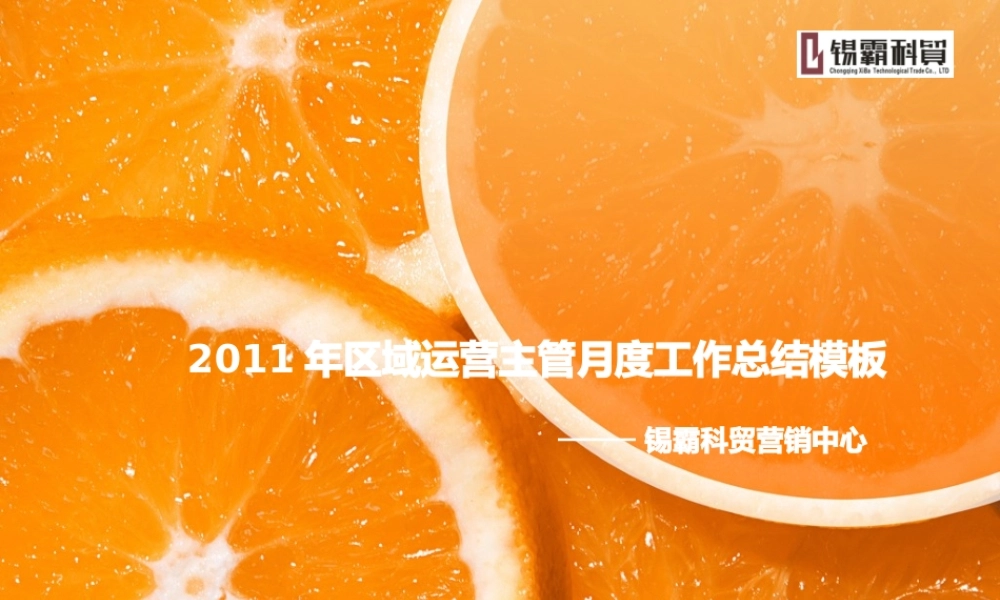 XXXX运营主管区域月工作总结模板