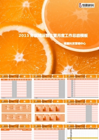 XXXX运营主管区域月工作总结模板