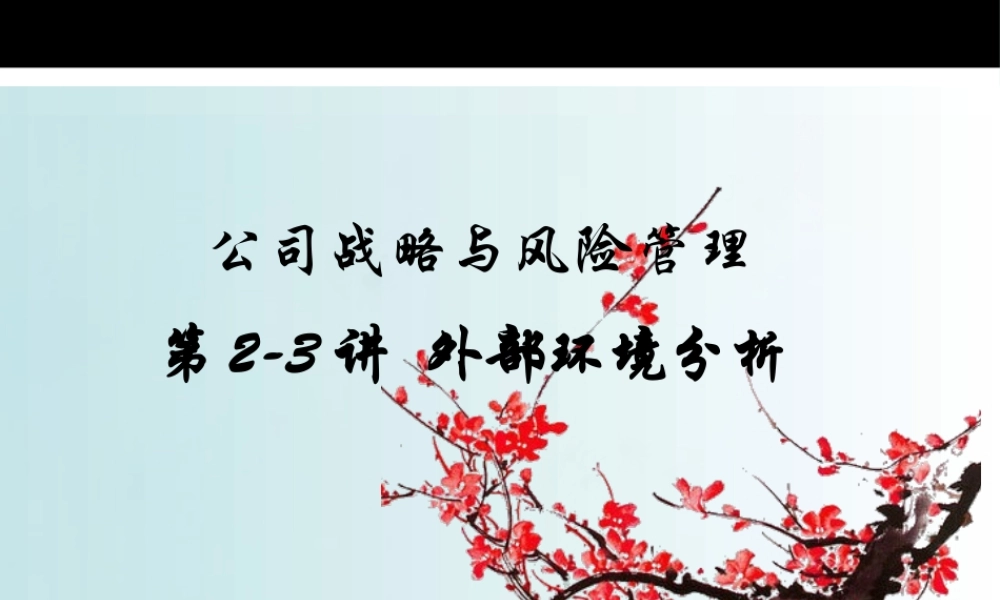 XXXX战略管理2外部环境分析