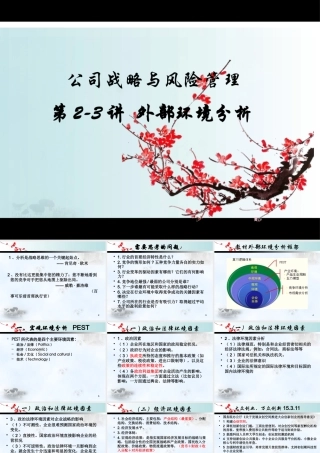 XXXX战略管理2外部环境分析