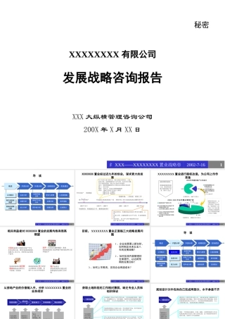 xxxx战略咨询报告ppt256页