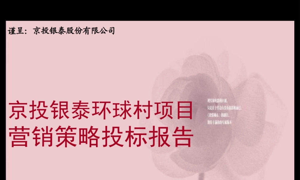 XXXX长沙京投银泰,环球村项目营销策略,投标报告