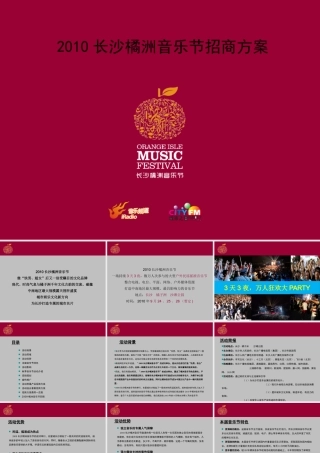 XXXX长沙橘洲音乐节招商方案(全)