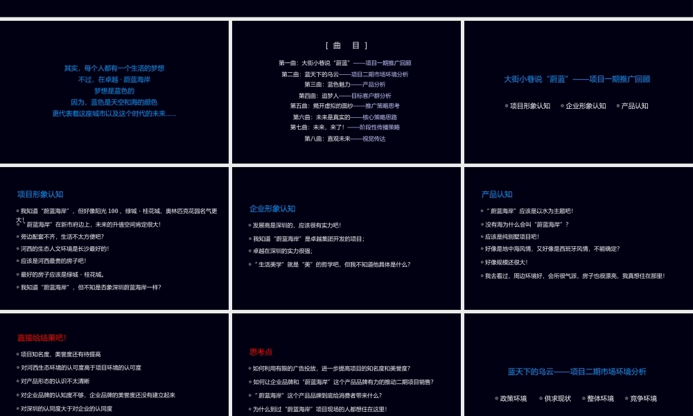 XXXX长沙卓越蔚蓝海岸二期核心推广思路
