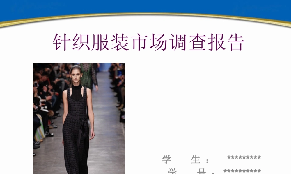 XXXX针织服装市场调查报告