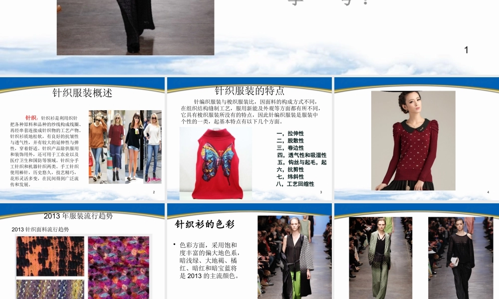 XXXX针织服装市场调查报告
