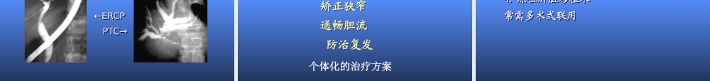 XXXX诊断治疗指南(肝胆管结石)