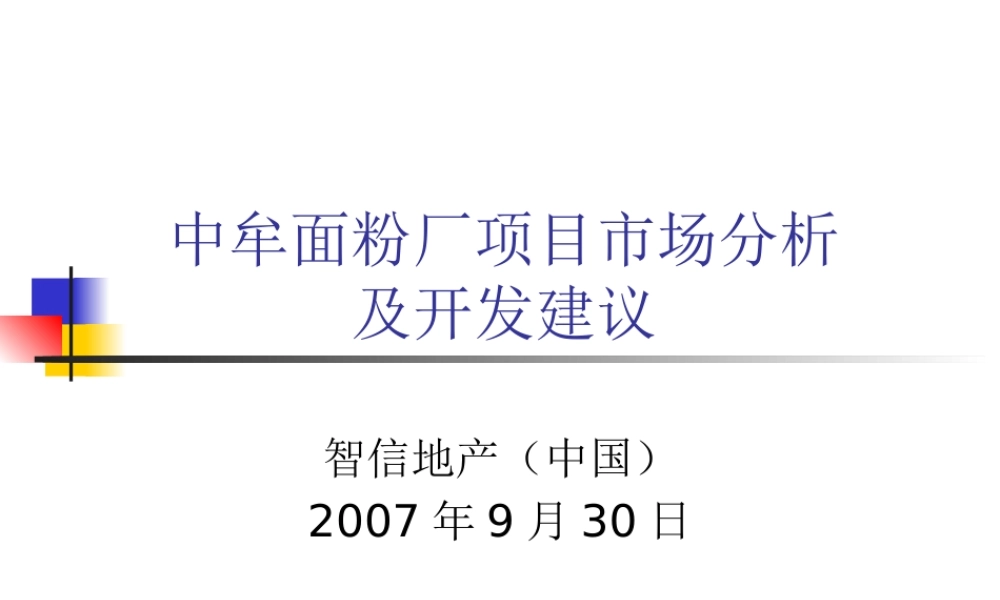 XXXX郑州中牟面粉厂项目市场提案