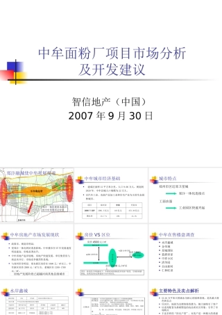 XXXX郑州中牟面粉厂项目市场提案