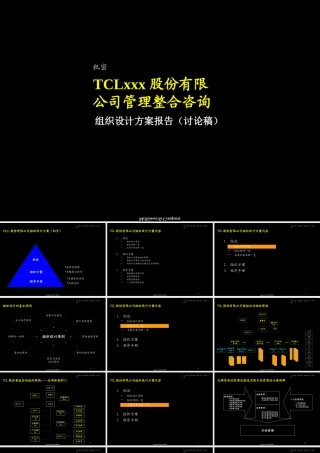 xxxx著名企业股份组织结构设计方案