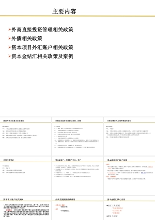 XXXX资本项目外汇业务培训