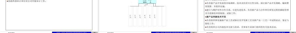 XXXX组织结构及管理流程设计报告