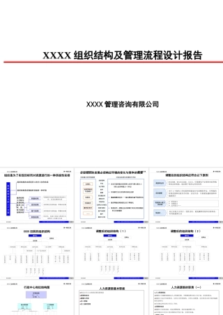 XXXX组织结构及管理流程设计报告