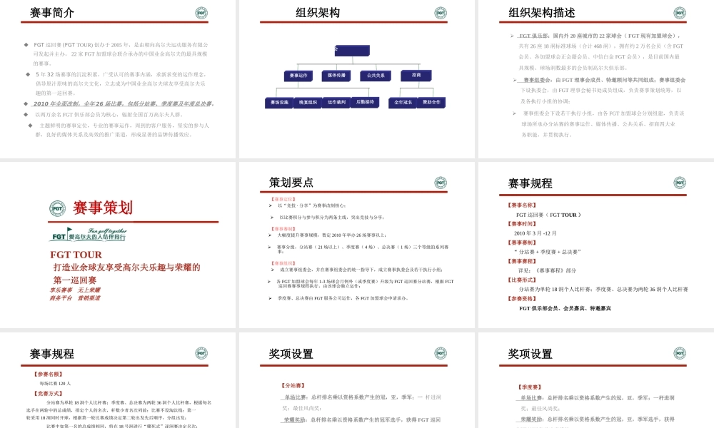 XXXX最新FGT巡回赛改制及招商方案-招商方案全案