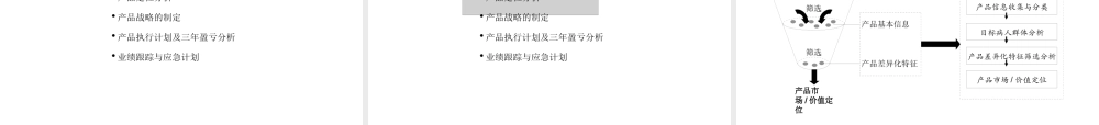 XXX产品战略模版