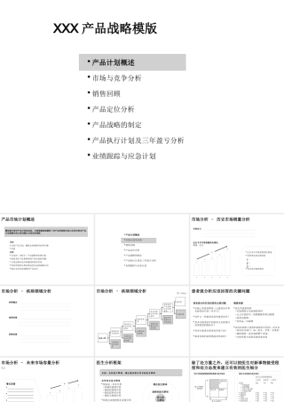 XXX产品战略模版