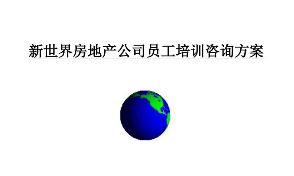 XXX地产公司员工职业化咨询报告