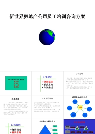 XXX地产公司员工职业化咨询报告