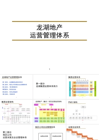 XXX地产企业运营管理体系