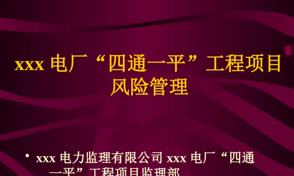 xxx电厂风险管理