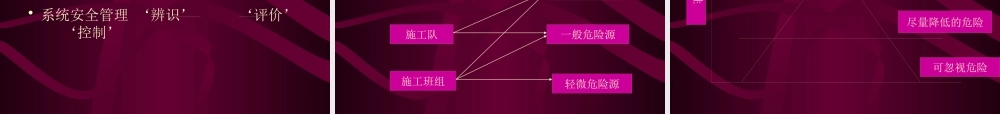 xxx电厂风险管理