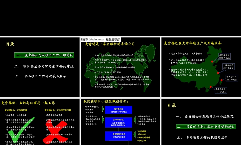 XXX公司管理咨询标准流程(1)