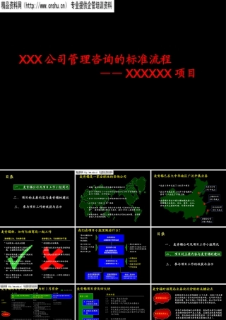 XXX公司管理咨询标准流程(1)