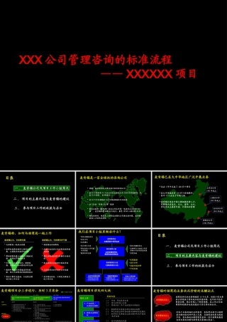 XXX公司管理咨询的标准流程