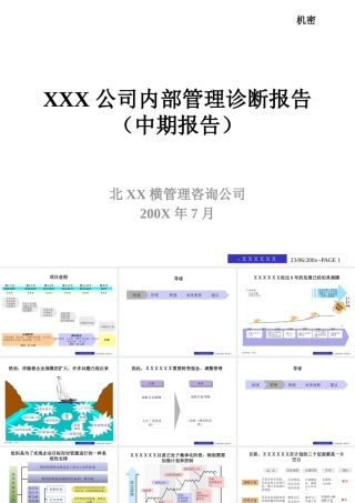 XXX公司内部管理诊断报告