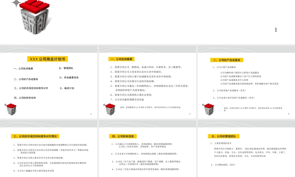 XXX公司商业计划书