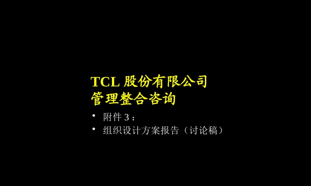 XXX股份有限公司管理整合咨询(ppt146)