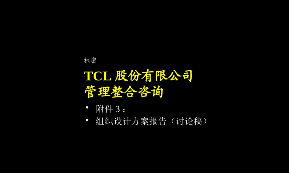 XXX股份有限公司管理整合咨询