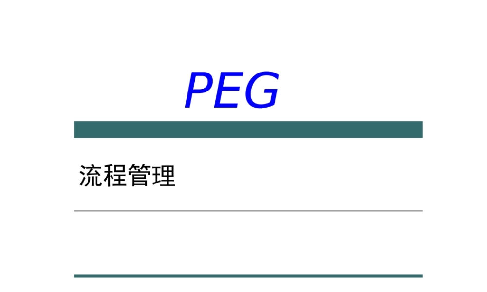 XXX管理咨询公司-流程管理（PPT 92页）